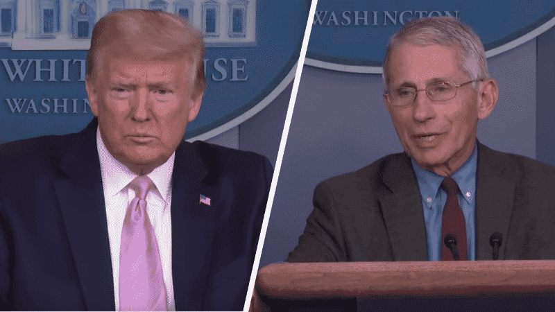 Trump and Fauci Weigh in on Gov. DeSantis Mulling Reopening Schools