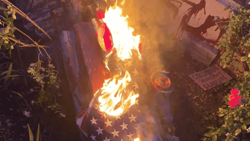 Statue of Christopher Columbus Torn Down, Set on Fire and Thrown in a Lake