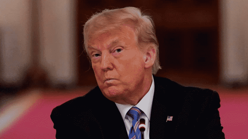 WH Denies Claim in Mary Trump’s Upcoming Book That POTUS Cheated on the SAT