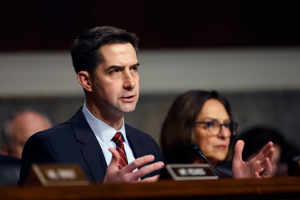 GOP Senators Push Trump to Cut UN Agency Over Hamas Allegations