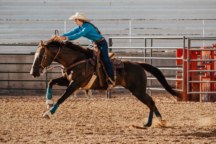 Teen Competitor Arrested After Three Horses Stabbed at Major Nevada Event