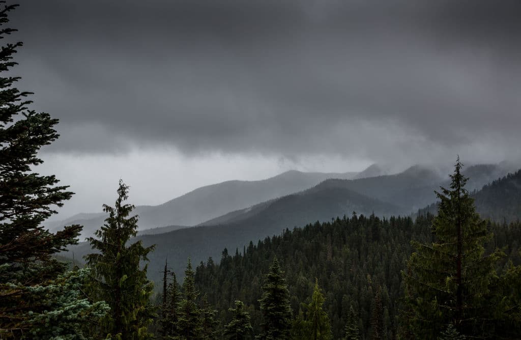 Mystery Finally Solved: Human Remains Found in National Park Identified After 25 Years