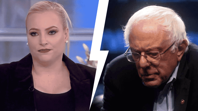Meghan McCain Scorches Sanders and His Supporters After Being Trolled On Social Media