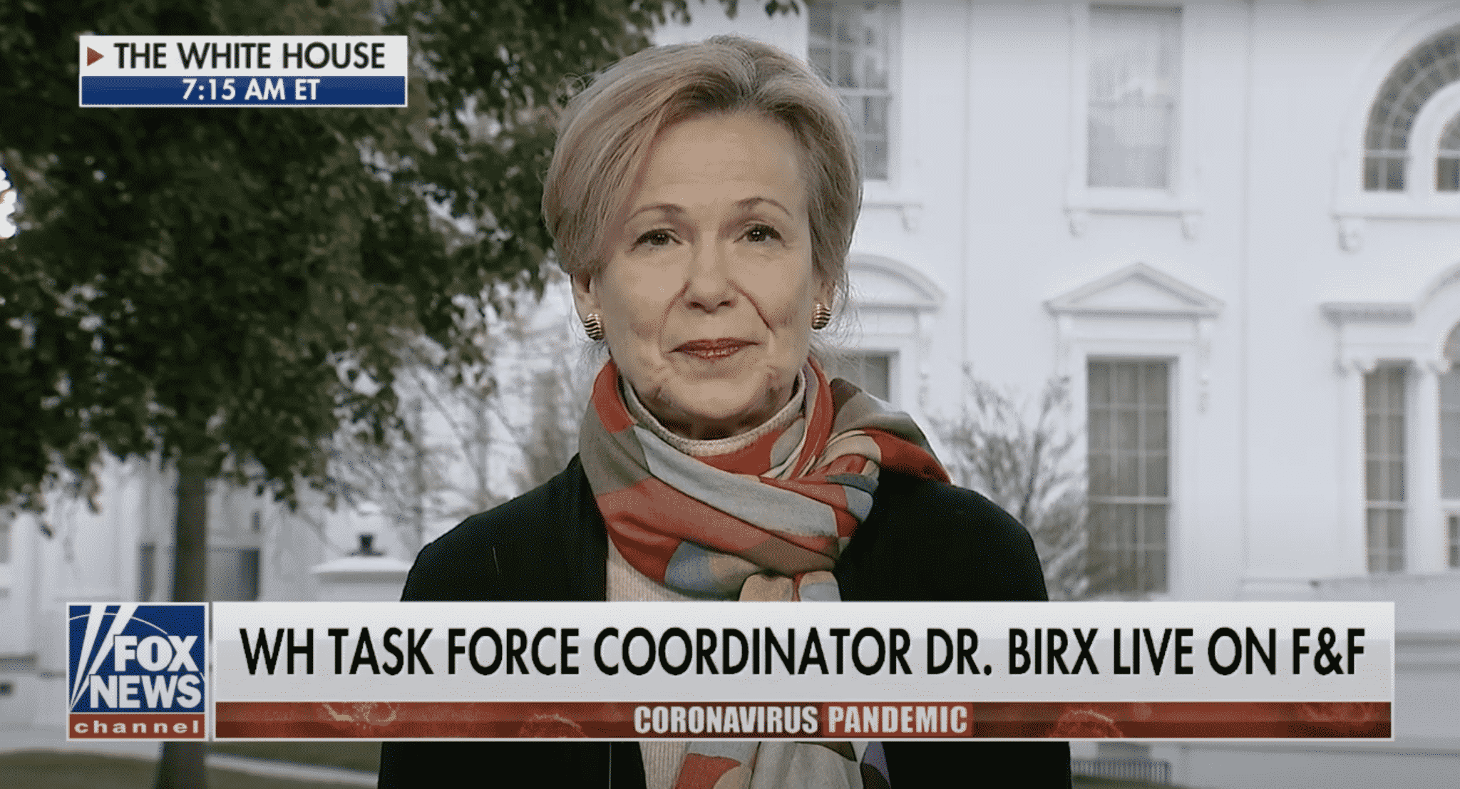 Birx Says Face Masks Will Still Be Necessary at Large Gatherings for the Foreseeable Future