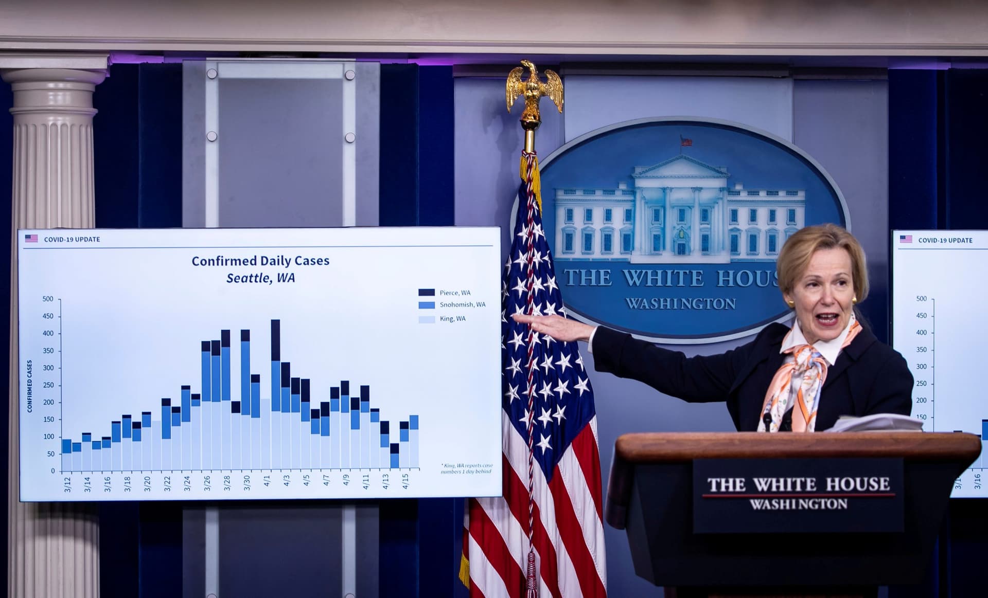 White House’s Birx to Take Key Role in Coronavirus Drug Distribution