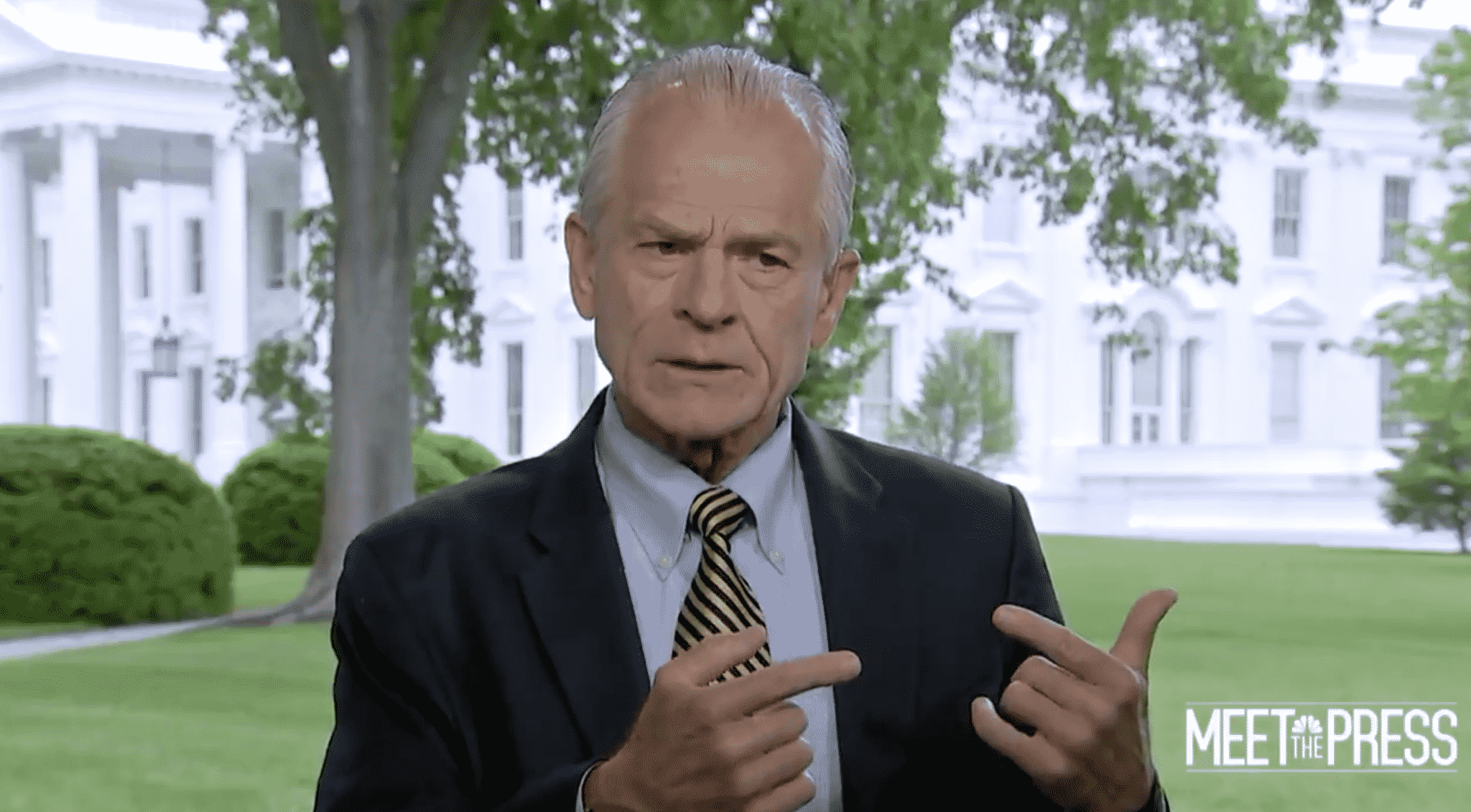 WH Trade Adviser: The CDC âReally Let the Country Down With the Testingâ