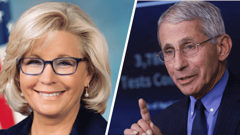 Liz Cheney Praises Dr. Fauci, Says ‘all Americans Should Be Thanking Him’