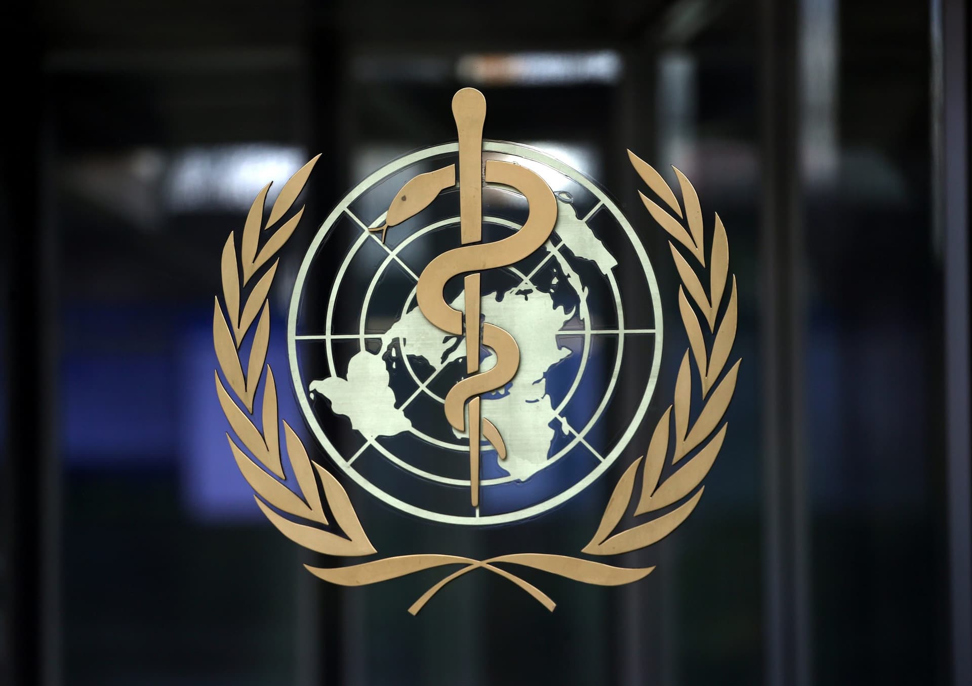WHO Advance Team on Way to China to Set up Probe Into Virus Origin