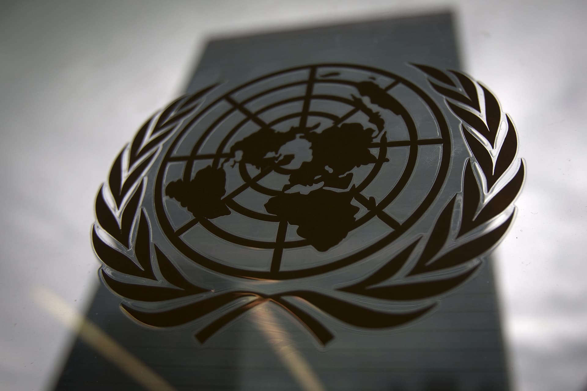 On Fifth Attempt, UN Security Council Renews Syria Aid via Turkey