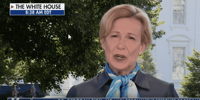 Birx Urges Use of Face Shields in Addition to Masks as Coronavirus Outbreak Continues