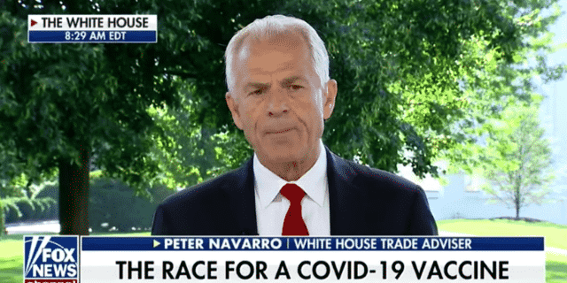 Navarro Goes After Fauci Again While Admitting He Does Not Regret Criticizing Him in Op-Ed