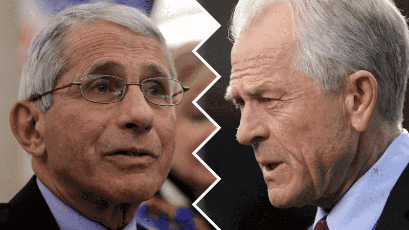 WH Adviser Rebukes Dr. Fauci in Scorching Op-Ed: ‘Wrong About Everything’