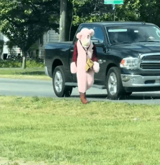Pink-Clad Creep Accused of Attempting to Abduct Virginia School Kids