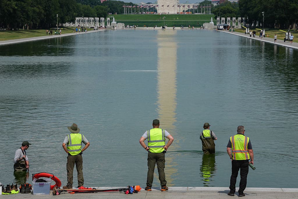 Green Algae Returns to DC Reflecting Pool